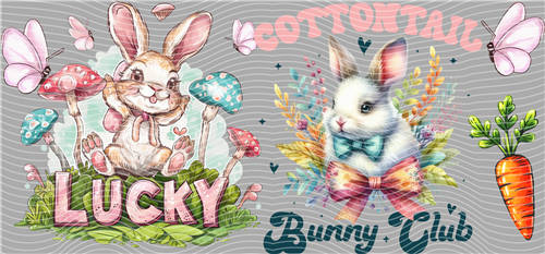 16oz Latest Bestseller-C 6218